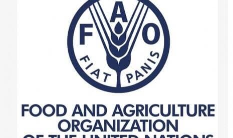FAO: Harga Pangan Dunia Melonjak ke Rekor Tertinggi Baru pada Maret