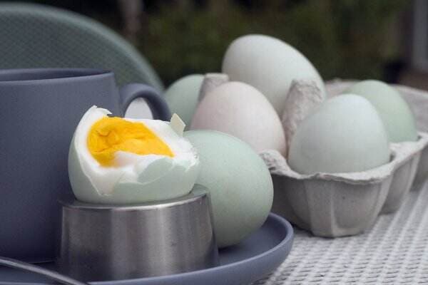 Tak Hanya Lezat, Ternyata Telur Asin juga Bagus untuk Kesehatan
