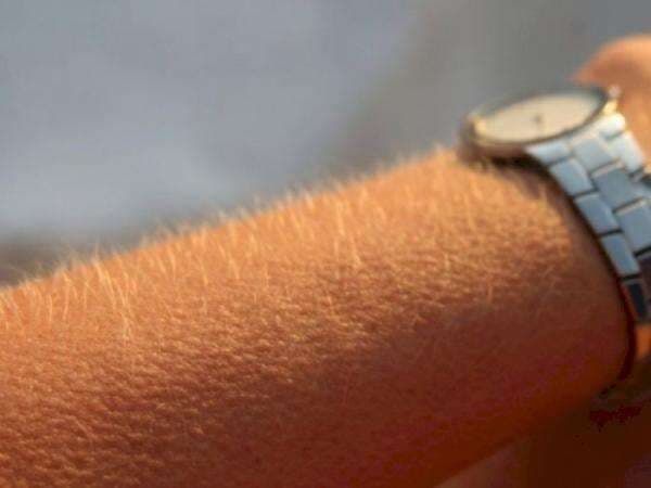 Benarkah Bulu Kuduk Berdiri Tandanya Kita Merinding Akan Suatu Hal Mistis? Benarkah Bulu Kuduk Berdiri Tandanya Kita Merinding Akan Suatu Hal Mistis?