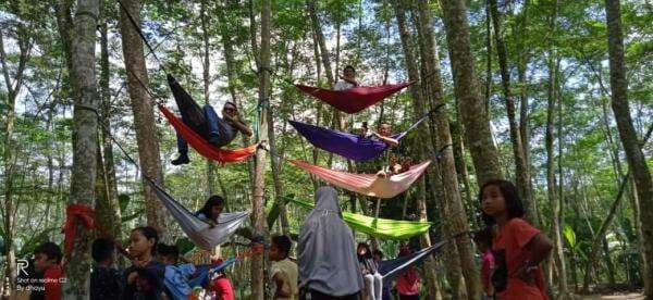 Hutan Albasia, Destinasi Wisata Terjangkau Dekat Pusat Kota Hutan Albasia, Destinasi Wisata Terjangkau Dekat Pusat Kota