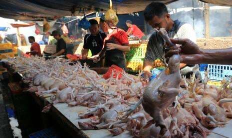 Sambut Libur Lebaran, Harga Daging Ayam di Kota Malang Naik