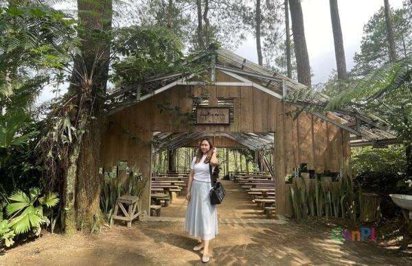 Yuk Coba Berburu Spot Selfie di Hutan Pinus Ciherang Tasikmalaya Yuk Coba Berburu Spot Selfie di Hutan Pinus Ciherang Tasikmalaya