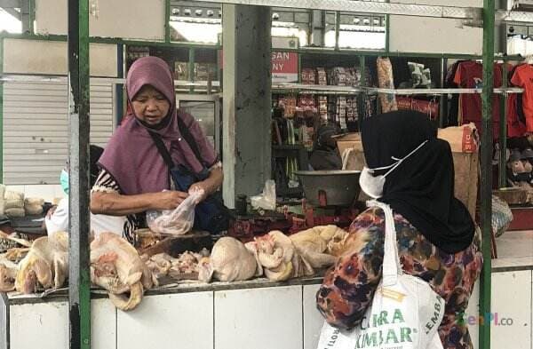 Lebaran, Harga Daging Ayam di Malang Naik jadi Sebegini