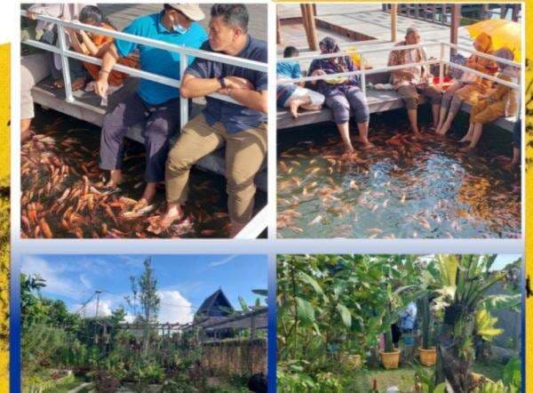 Berkunjung ke Naureen Mini Garden, Terapi Kaki dengan Ikan Berkunjung ke Naureen Mini Garden, Terapi Kaki dengan Ikan