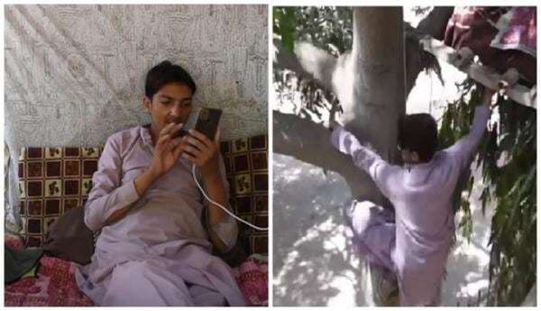 Tak Punya Uang Untuk Beli Rumah, Pria Asal Pakistan Ini Hidup di Rumah Pohon Selama Delapan Tahun Tak Punya Uang Untuk Beli Rumah, Pria Asal Pakistan Ini Hidup di Rumah Pohon Selama Delapan Tahun