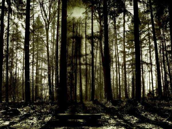 Cerita Asli KKN di Desa Penari dari Akun Twitter Simple Man Ternyata Lebih Bikin Merinding Cerita Asli KKN di Desa Penari dari Akun Twitter Simple Man Ternyata Lebih Bikin Merinding