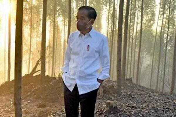 Presiden Jokowi Imbau Masyarakat Waspadai Musim Kemarau: Hati-Hati Kebakaran Hutan dan Lahan