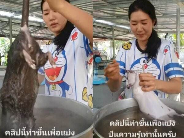 Aksi Cewek Thailand Masak Tikus Bikin Netizen Murka: Kamu yang Makan Aku yang Vaksin