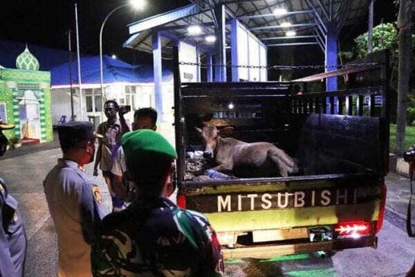 Akibat Wabah PMK Polisi Perketat Pengawasan Angkutan Hewan Perbatasan Aceh-Sumut