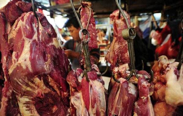 Waspadai Lonjakan Impor Daging