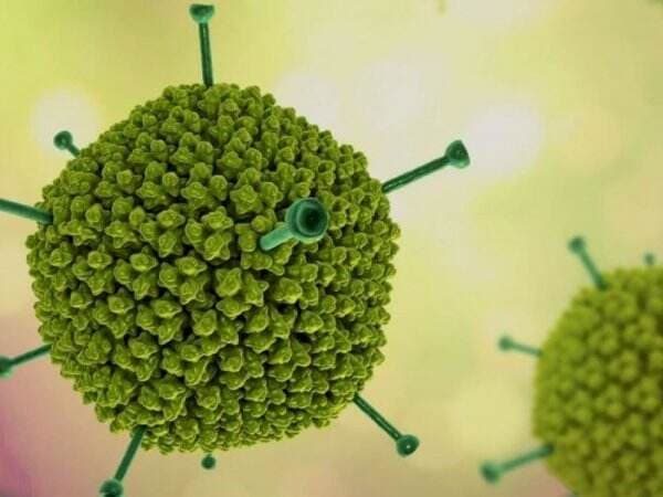 Penyebab Hepatitis Misterius di Indonesia Bukan dari Luar Negeri