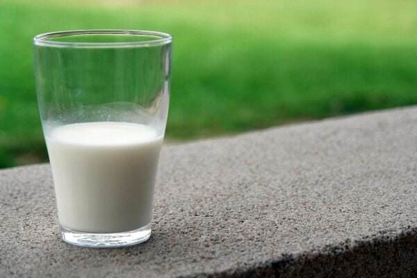 4 Manfaat Minum Susu bagi Kesehatan Lansia yang Luar Biasa