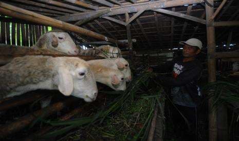 PMK Merebak,  Stok Daging di Jawa Tengah Aman