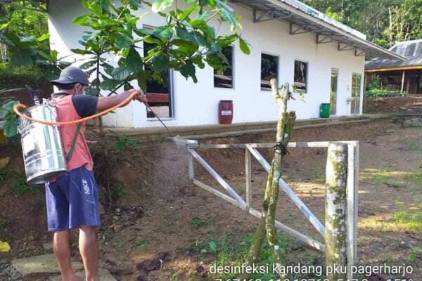 PMK di Kulon Progo, Penyemprotan Disinfektan Masif Dilakukan