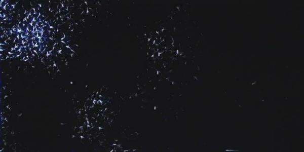 Download Lagu MP3 My Chemical Romance - The Foundations of Decay, Lengkap Lirik dan Terjemahan Indonesia Download Lagu MP3 My Chemical Romance - The Foundations of Decay, Lengkap Lirik dan Terjemahan Indonesia