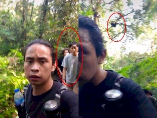 Viral, Pria Videokan Penam[akan saat Mendaki Gunung Salak, Netizen Kaget Tak Menyangka Viral, Pria Videokan Penam[akan saat Mendaki Gunung Salak, Netizen Kaget Tak Menyangka