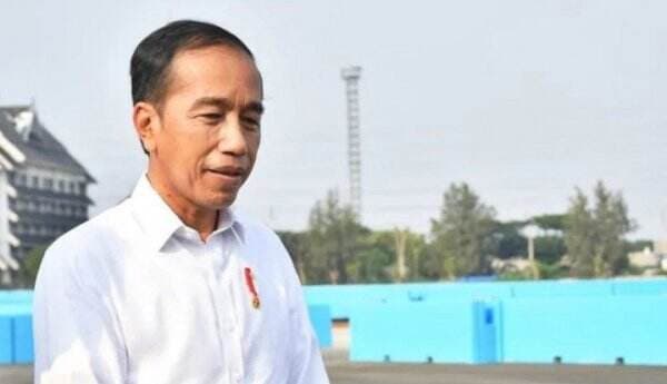 Komentari Jokowi Temui Elon Musk, Nicho: Presiden Udah Kayak Pengemis yang Datangi Pengusaha