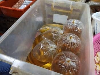 Minyak Goreng Rp14.000/Liter Dijual di 10.000 Titik, Cek- Cek Lokasinya