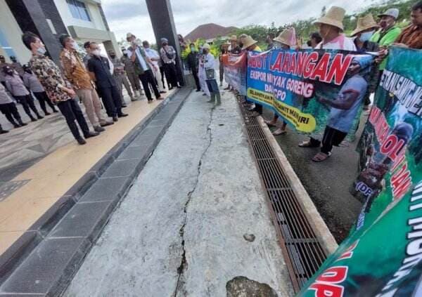 Pak Jokowi, Inilah Curhatan Petani Sawit di Batola Usai Pelarangan Ekspor CPO