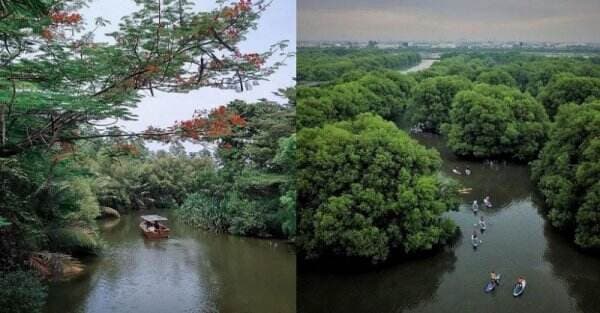 5 Pilihan Wisata Air di Jakarta Paling Seru, Nomor 3 seperti Berada di Sungai Amazon