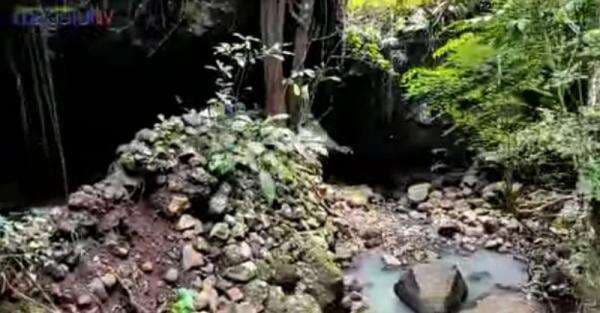 Mengintip Gua Purba Misterius, Tersembunyi di Tengah Hutan Perbatasan Jombang-Mojokerto Mengintip Gua Purba Misterius, Tersembunyi di Tengah Hutan Perbatasan Jombang-Mojokerto