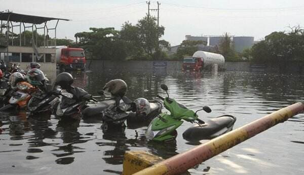 Sejumlah Sepeda Motor Terendam Banjir Rob hingga Jok di Kota Semarang