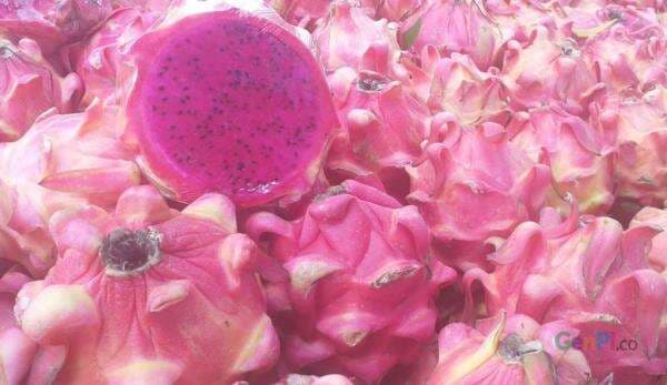 Rekomendasi Buah untuk Penderita Stroke, Menyehatkan Jantung! Rekomendasi Buah untuk Penderita Stroke, Menyehatkan Jantung!