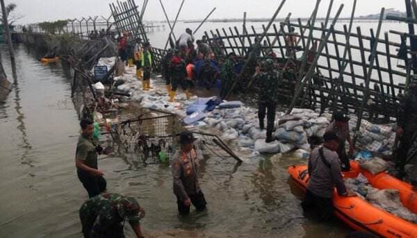 Ini 4 Faktor Besarnya Dampak Banjir Rob di Kota Semarang