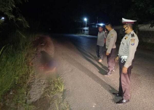 Diduga Korban Tabrak Lari, Mr X Ditemukan Tewas di Cempaka Banjarbaru