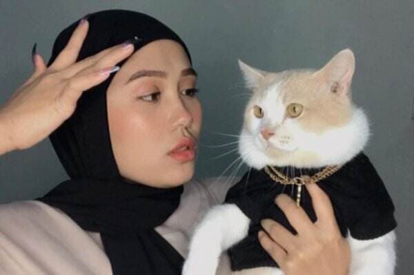 Viral! Kucing Hits Pororo Sempat Hilang, Cici Chania Lega Anabul Sudah Ditemukan Viral! Kucing Hits Pororo Sempat Hilang, Cici Chania Lega Anabul Sudah Ditemukan