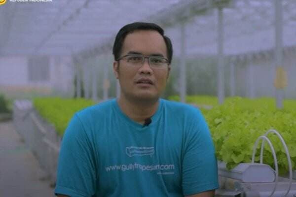 Berkat Ketekunan, Pria di Sleman Ini Sukses Bertani Hidroponik