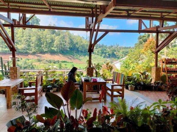 Beda dari yang Lain! Cuma Bayar Rp10 Ribu, Makan Bakso di Sini Bisa Sekalian Refreshing Beda dari yang Lain! Cuma Bayar Rp10 Ribu, Makan Bakso di Sini Bisa Sekalian Refreshing