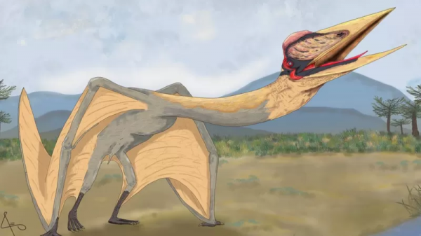 Fosil Reptil Terbang "Naga Kematian" Ditemukan di Argentina