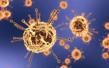 Epidemiolog: Virus Hendra Lebih Mematikan dari Covid-19