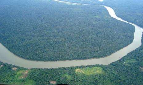 Ilmuwan Temukan Kota Hilang di Hutan Hujan Amazon