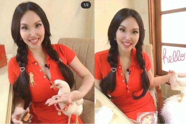 Chef Vindy Lee Ceritakan Awal Adopsi Ayam sebagai Hewan Peliharaan, Viral lantaran Dikasih Makan Roti Chef Vindy Lee Ceritakan Awal Adopsi Ayam sebagai Hewan Peliharaan, Viral lantaran Dikasih Makan Roti