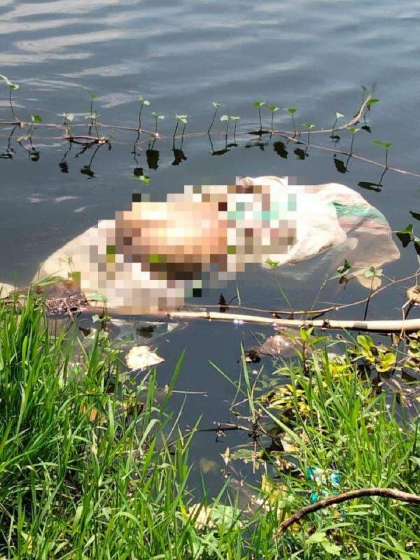 Dikenal Jawara Pria yang Mayatnya Dikarungin Disebut Bisa Kalahkan Dua Orang Sekaligus Dikenal Jawara Pria yang Mayatnya Dikarungin Disebut Bisa Kalahkan Dua Orang Sekaligus