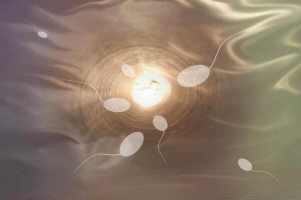 Manfaat dan Bahaya Menelan Sperma, Ada Risiko Penularan Penyakit