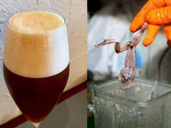 4 Jus Paling Menjijikkan di Dunia, Terbuat dari Plasenta Babi hingga Kodok, Berani Coba? 4 Jus Paling Menjijikkan di Dunia, Terbuat dari Plasenta Babi hingga Kodok, Berani Coba?