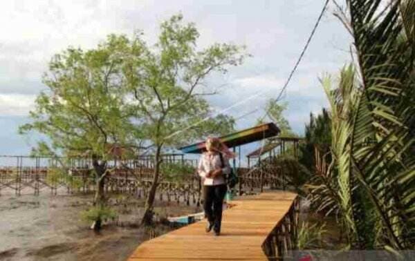 Sukses Ubah Mangrove Sungai Kupah, Rudi Hartono Boyong Kalpataru