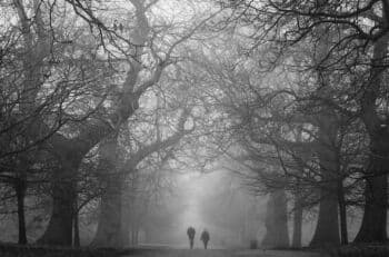 Viral Truk TNI Mogok Lalu Ada `Penampakan` Kuntilanak, Netizen: Mba Kunti Lagi Cari Jodoh Viral Truk TNI Mogok Lalu Ada `Penampakan` Kuntilanak, Netizen: Mba Kunti Lagi Cari Jodoh