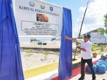 Menteri KPP Minta Produksi Rumput Laut di Wakatobi Digenjot