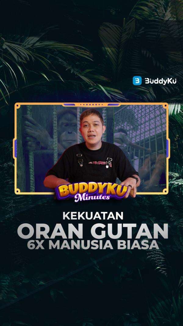#BuddyKuOneMinutes Pengunjung Kebun Binatang Ditarik Orangutan, Sekuat Apa Sih? #BuddyKuOneMinutes Pengunjung Kebun Binatang Ditarik Orangutan, Sekuat Apa Sih?
