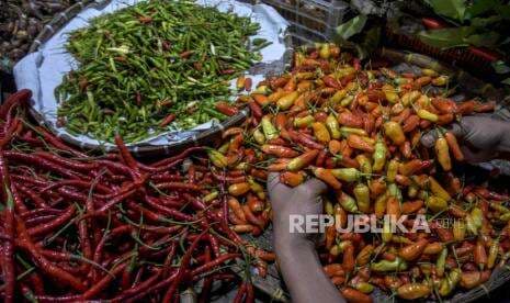 Harga Cabai Rawit Merah di Sukabumi  Tembus Rp 80 Ribu per Kg