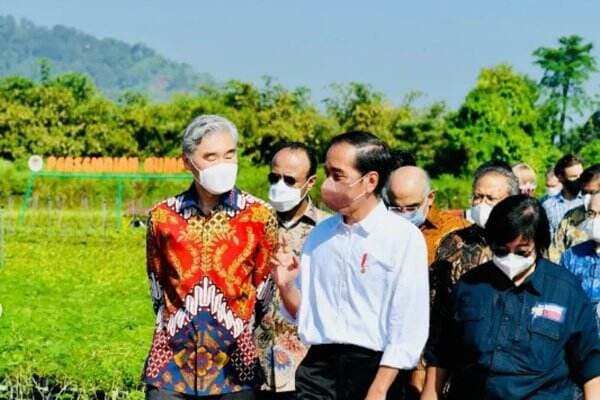 Menteri Siti: Target Rehabilitasi Mangrove 600 Ribu Hektare