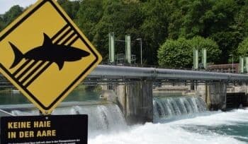 5 Fakta Bendungan Engehalde Swiss, Lokasi Ditemukannya Jasad Eril 5 Fakta Bendungan Engehalde Swiss, Lokasi Ditemukannya Jasad Eril