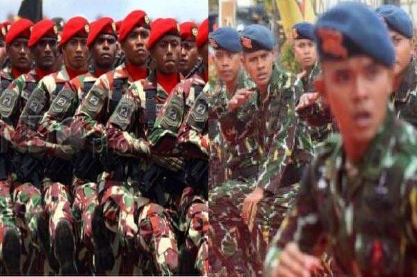 Mau Tahu Perbedaan Brimob dan Kopassus? Simak Nih! Mau Tahu Perbedaan Brimob dan Kopassus? Simak Nih!