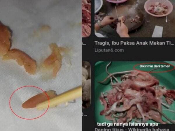 Viral, Cewek Curhat Nemu Daging Aneh di dalam Dimsum, Warganet Kaitkan dengan Bakso Tikus