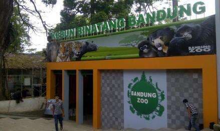 Sambut Libur Sekolah, Kebun Binatang Bandung Buka Kesempatan Siswa Merawat Hewan