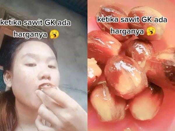 Viral Seorang Wanita Asik Makan Buah Sawit Bak Kurma, Netizen: Baru Tahu Bisa Jadi Camilan Viral Seorang Wanita Asik Makan Buah Sawit Bak Kurma, Netizen: Baru Tahu Bisa Jadi Camilan